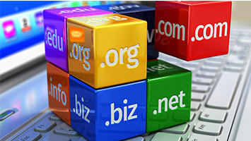 Domain Registration